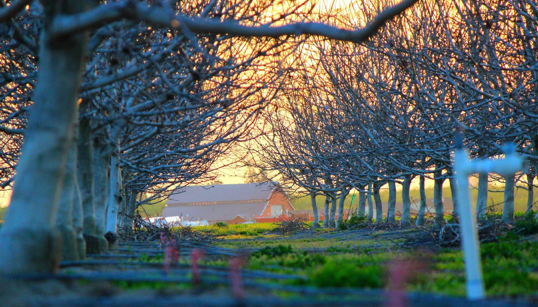 ChatGPT vs Claude vs Perplexity: Best AI for 2024